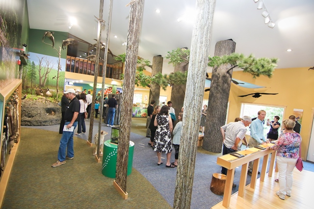 NEW Scheels Discovery Room