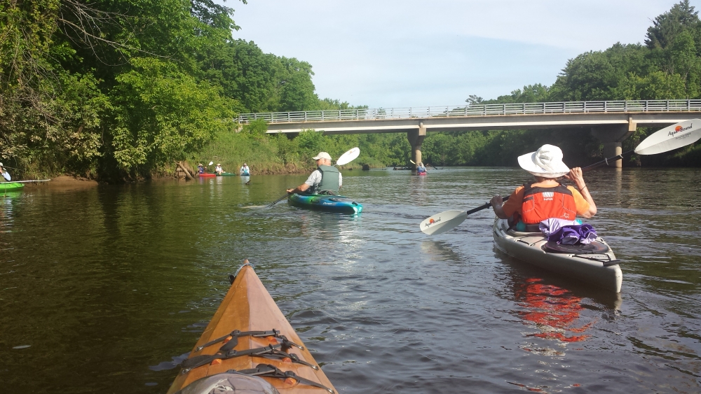 Aquatic Invasive Species Studies